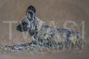 'Resting Up' by Yvonne Lamden Cooper Pastel and Gold Leaf Framed 77 x 52 £950