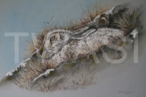 'Sitting Tight' by Yvonne Lamden Cooper Pastel Framed £525