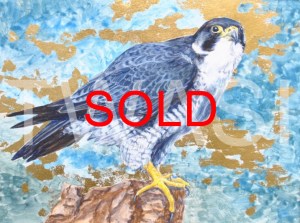 'Peregrine Pride' by Helen Rawlings Egg Tempura and Gold Leaf on gesso’d board Framed 30 x 24.5 £275