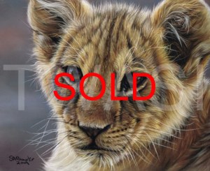 ‘Young King’ by Susan Baxter Pastel Unframed 36cm x 31cm £225