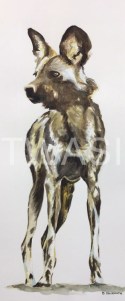 'African Painted Dog' by David Skidmore 20.5 x 51cm Watercolour on 300gsm NOT watercolour paper £325