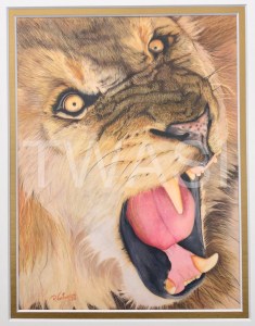 Madness by Rosana Venturini Size in cms with frame/unframed: 19X24 CM – UNFRAMED 27X32.5 CM – WITH MATBOARD COLORED PENCILS ON DRAFTING FILM £800