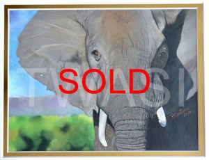 Gentle Giant’ by Rosana Venturnin Size in cms with frame/unframed: 19X24 CM – UNFRAMED 27X32.5 CM – WITH MATBOARD COLORED PENCILS ON PAPER SOLD