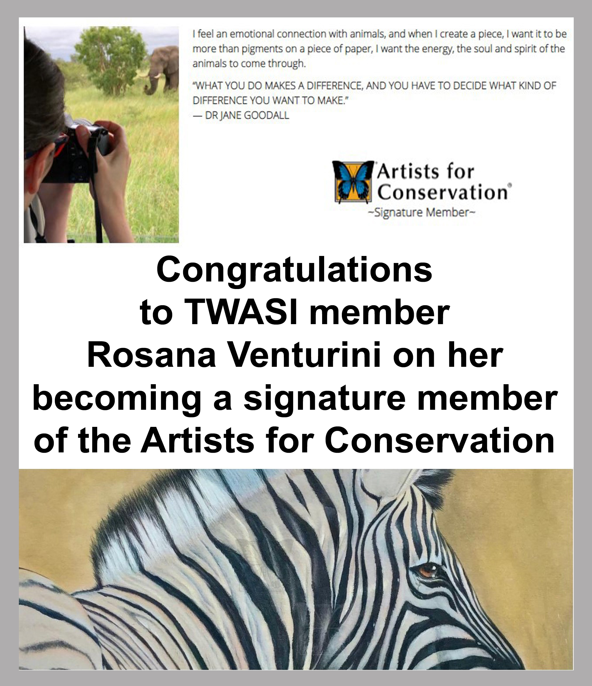Rosana Venturini Artists for conservation