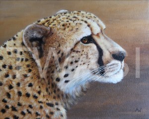 Cheetah by Anthony Webb oil framed 38 x 32 £295