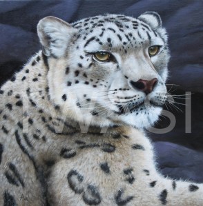 now Leopard by Anthony Webb oil framed 39 x 39 £340