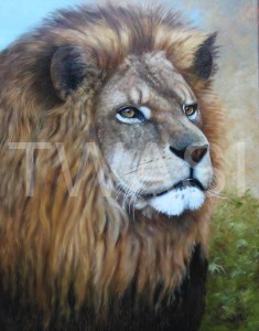 The ' mane man' by Anthony Webb oil framed 44 x 54 £495