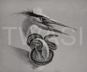 Artwork by Phil Mumby