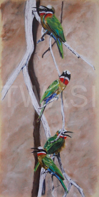 'Social Gathering' by Nick Barker Pastel Framed 55 x33 cms £200