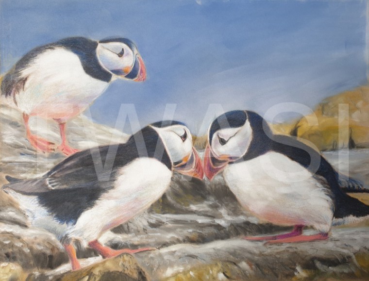 'Two is company, three's a crowd' by Ann Hunt Pastel 40 x 50 cms £295