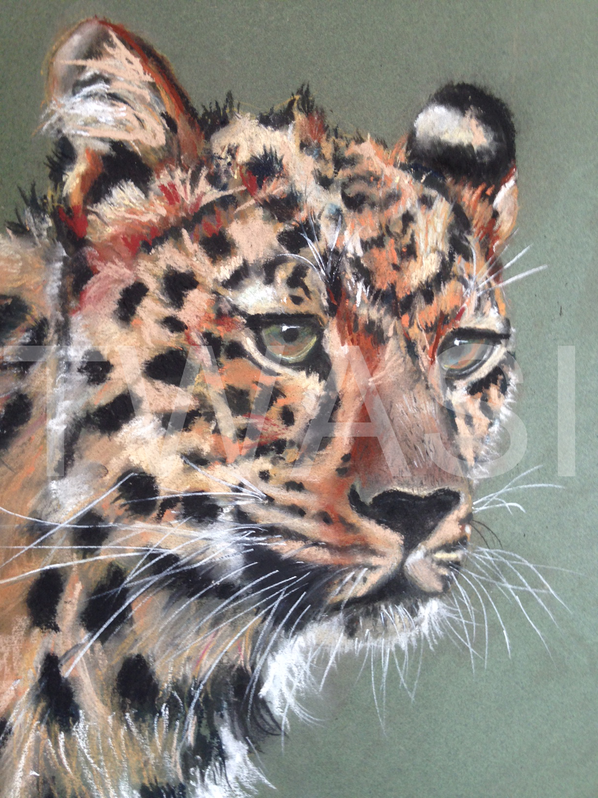 'Watching' by Diane Haines Pastel Framed 47 x 40 cms £225