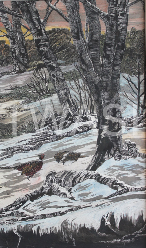 'Winter Pheasants' by Jackie Cox Hand coloured scraperboard 34 x 24 cms £115