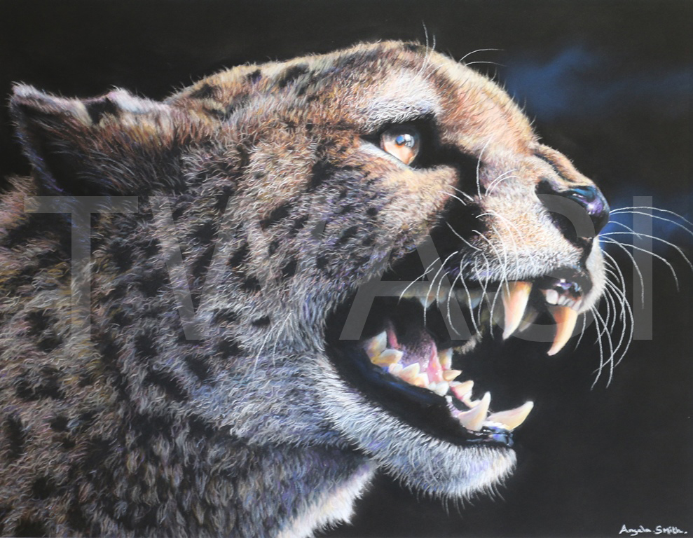 'Fearless' by Angela May Smith Pastel 53 x 45 £425