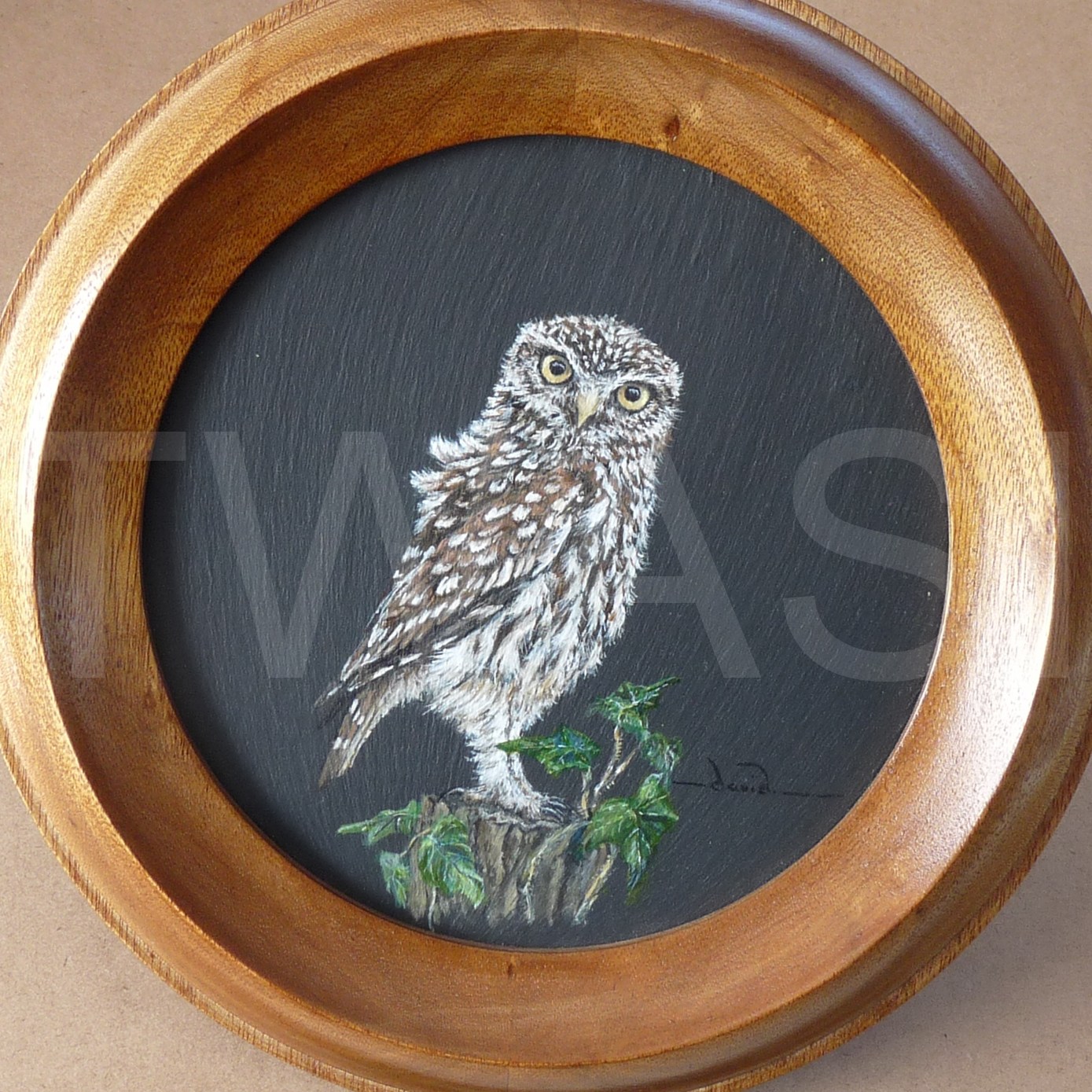 'I Spy' by David Spencer Acrylic on Welsh Slate Framed 30 cms £105