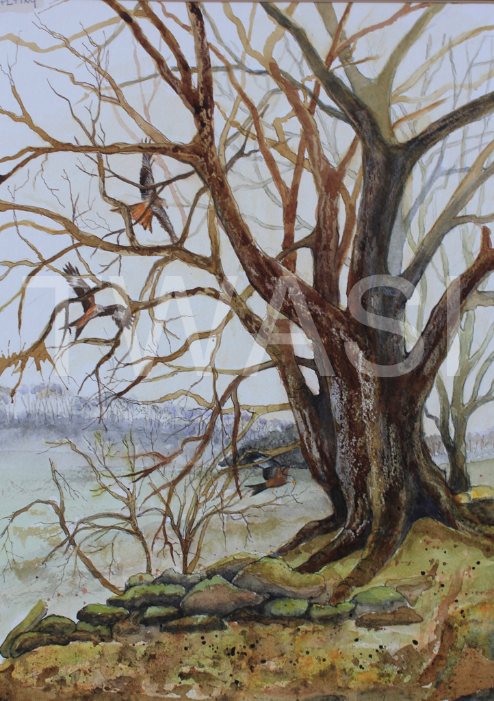 'Kite Flying' by Victoria Parsons Mixed media 60cm x70cm £395