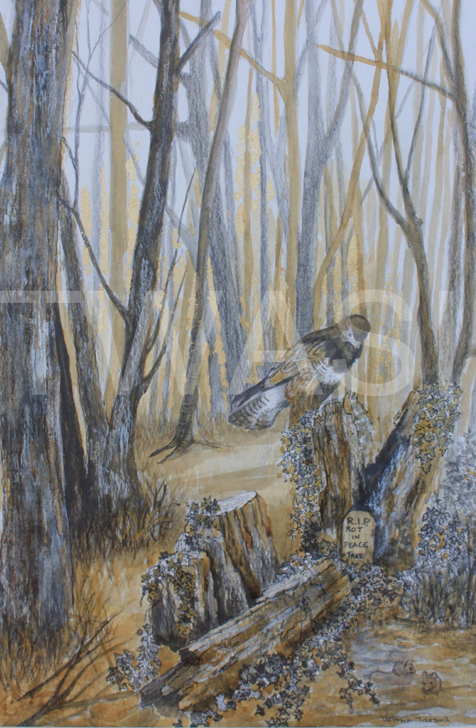 'The ones that got away' by Victoria Parsons Oak Gall Ink 60cm x 35cm £400