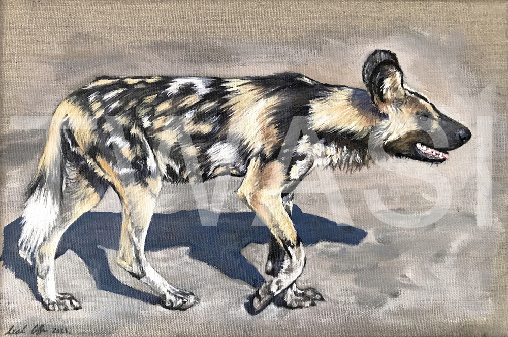 'Painted Dog 2' by Neil Griffin oil 33 x 23.5 cm framed £210 - BUY ME - Email: jfearn67@gmail.com