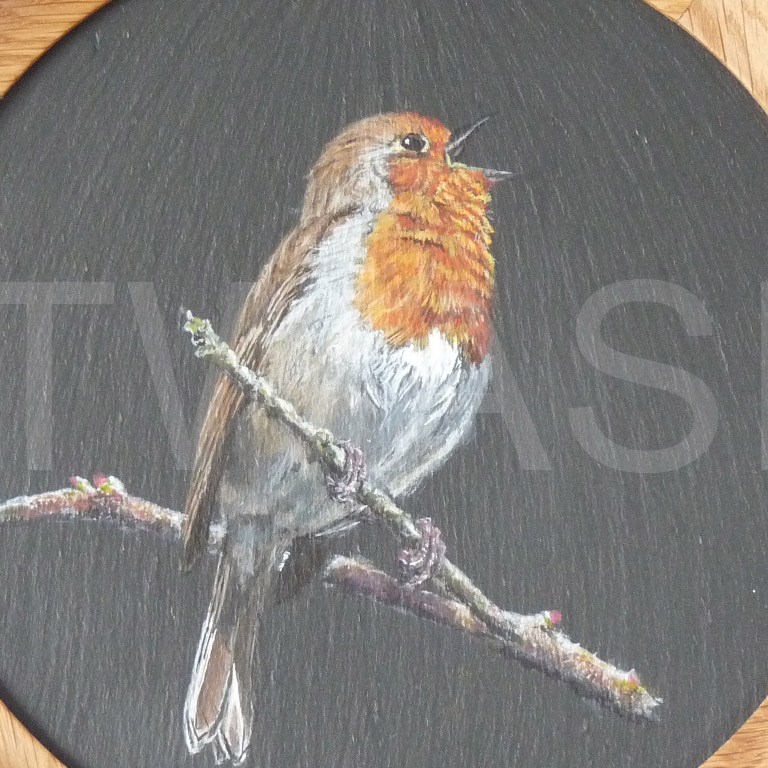 'Songster' by David Spencer acrylic on welsh slate 30cms £105