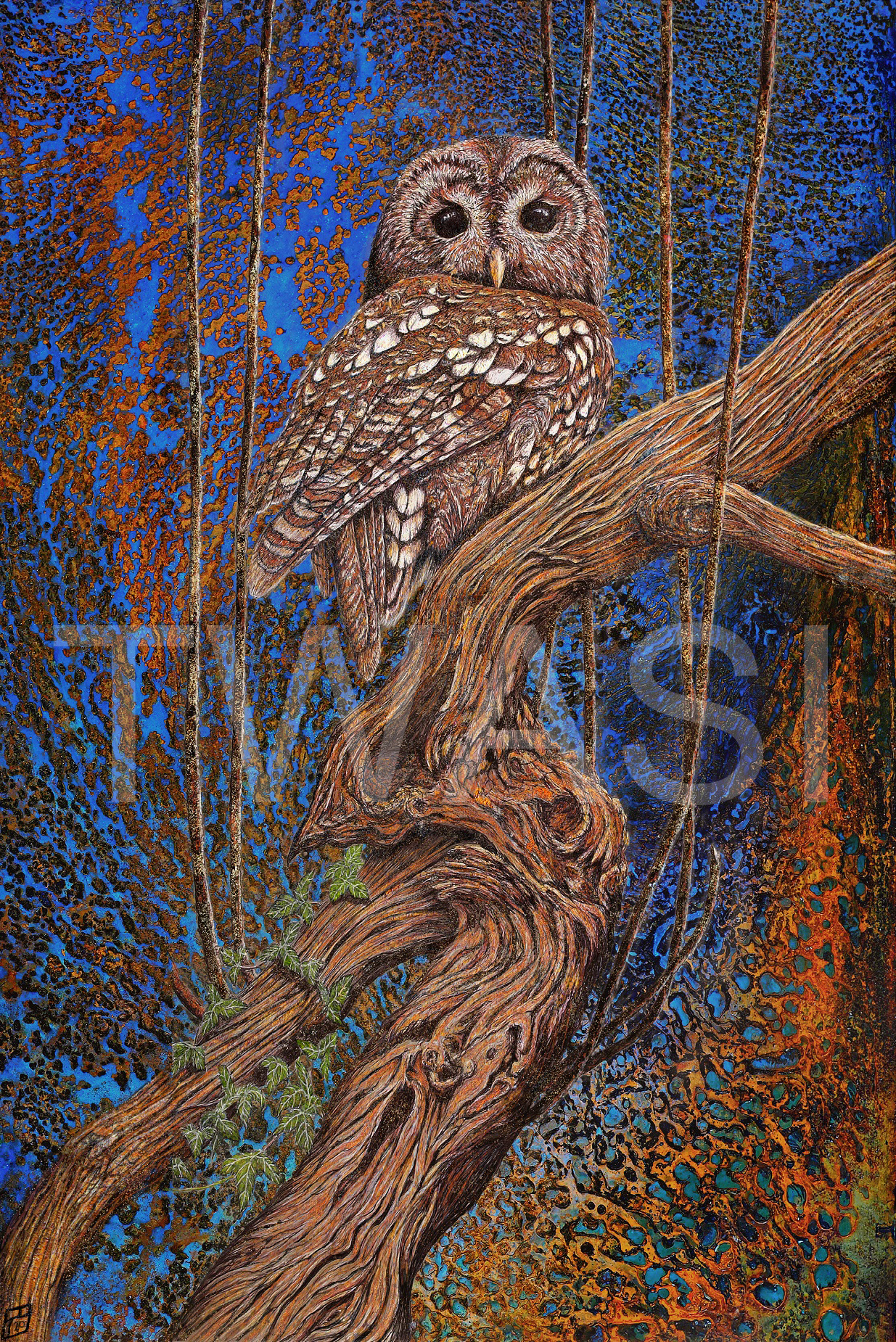 'Tawny Owl' by Paul Parsons Digital rust art painting Printed on metal Edition of 25 Unframed 75x50 cms £160 BUY ME: Email divadknight@sky.com