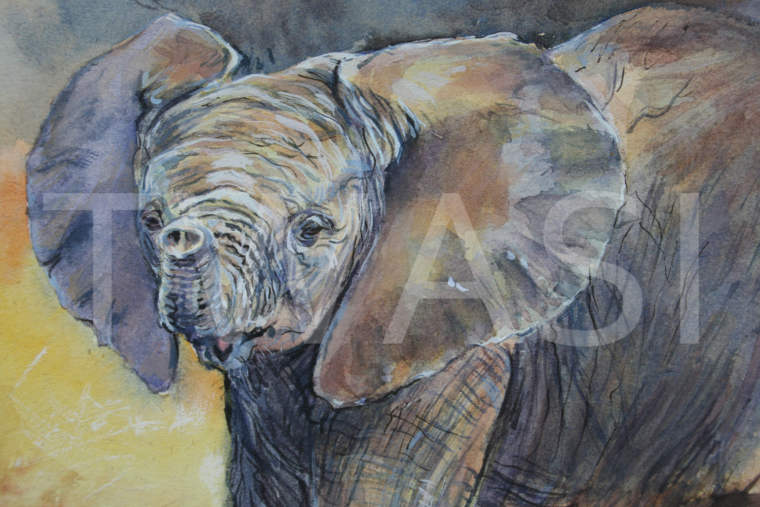 'New Scent' by Carol Barrett Watercolour 30 x 25 cms £170