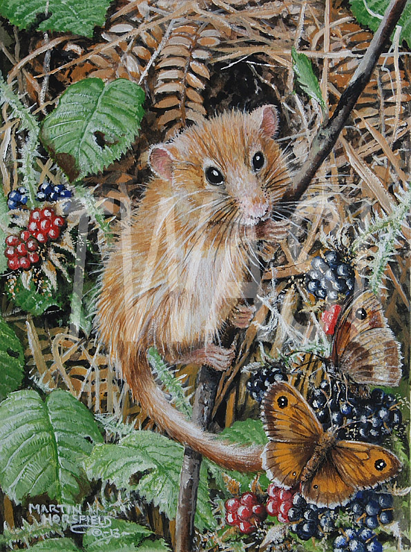 'Food on the Doorstep' by Martin Horsfield Gouache 31.5 x 26.5 (framed price £190) - BUY ME - Email: jfearn67@gmail.com