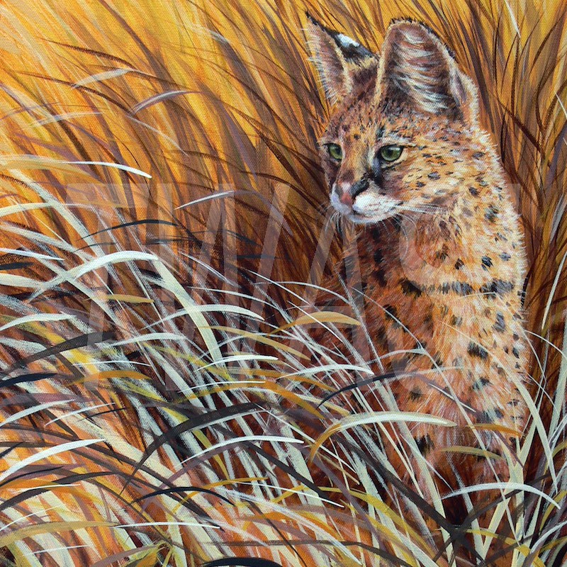 'Serval in grass' by Sarais Crawshaw Acrylic 40x50 £250 - BUY ME - Email: jfearn67@gmail.com