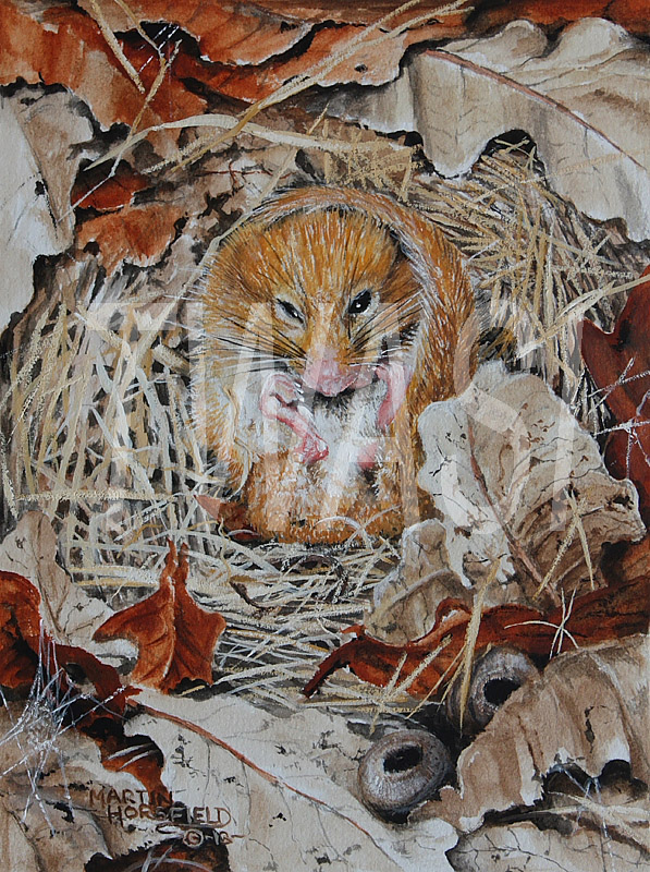 'Warmer Days Ahead' by Martin Horsfield Gouache 31.5 x 26.5 (framed price £190) - BUY ME - Email: jfearn67@gmail.com