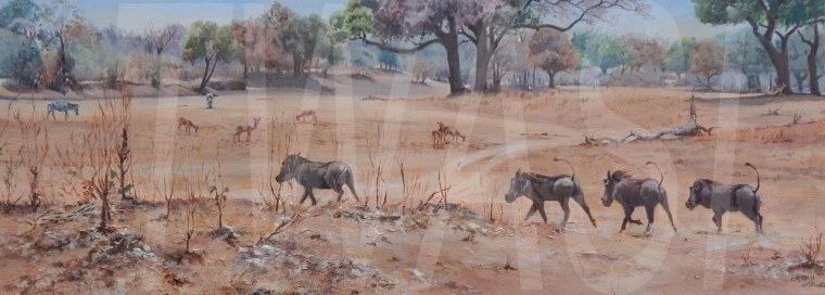 In a dry season by Christine Smith - acrylic -w80xh30cm-£250 - Kudu in the shade by Christine Smith - acrylic - w36x26cm-£185 