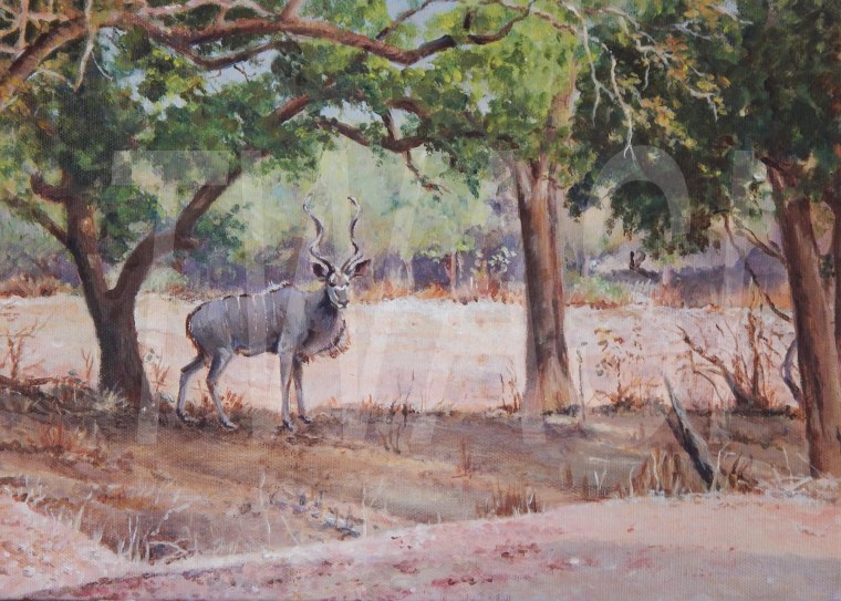 Kudu in the shade by Christine Smith - acrylic - w36x26cm-£185 