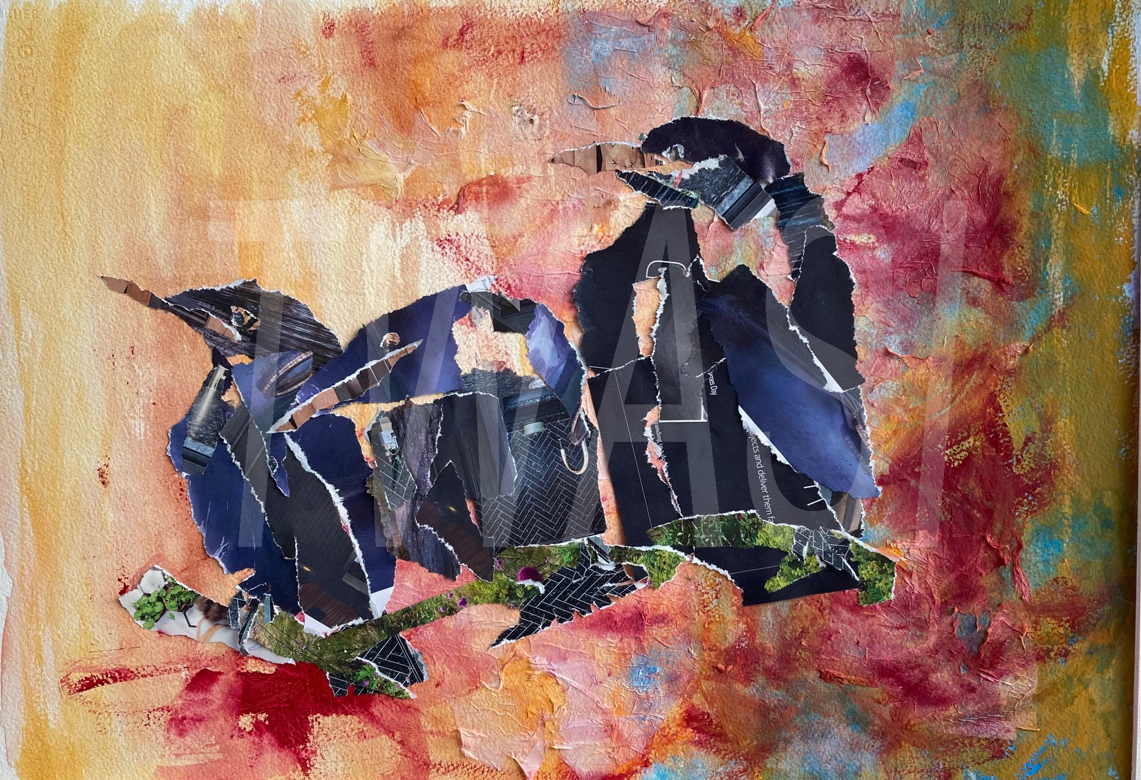 Curious Crows by Liz Mulrey lizmulrey@icloud.com