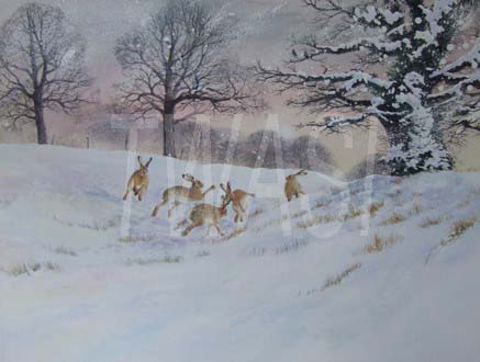Snow Dancing by Valerie Briggs v.briggs746@btinternet.com http://www.valeriebriggs.co.uk