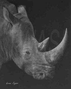 'On the brink' by Leanne Byrom leanne@leannebyrom.com Website - https://leannebyrom.com/ Facebook - https://www.facebook.com/animalartleanne Instagram - https://www.instagram.com/animalart_byleanne/