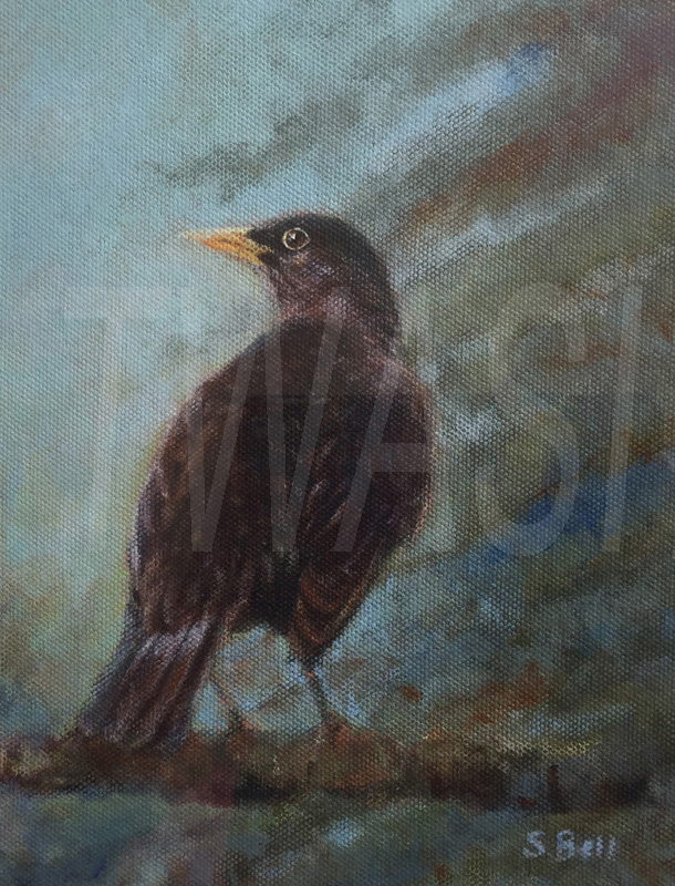 'Blackbird' by Sandy Bell-acrylic-32-x-40-framed-mounted-and-glazed-£98 - BUY ME – Email: jane.shackleton0@googlemail.com