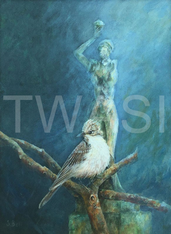 flycatcher-by-sandy-bell-acrylic-framed-33-x-43.5-cms-£195 -BUY ME – Email: jane.shackleton0@googlemail.com