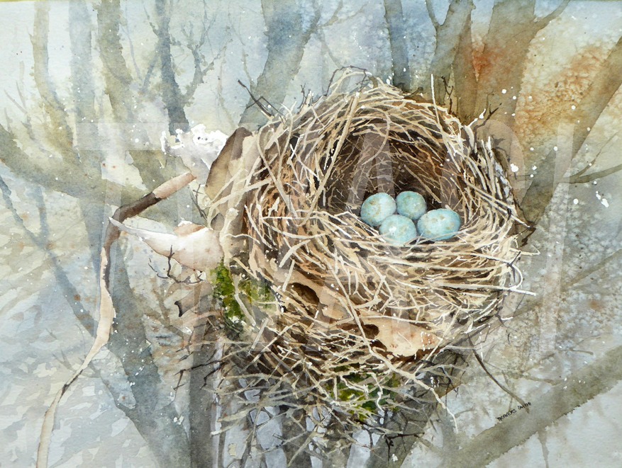Linda Travers Smith Blackbirds Nest 40x50 £190 BUY ME – Email: jane.shackleton0@googlemail.com