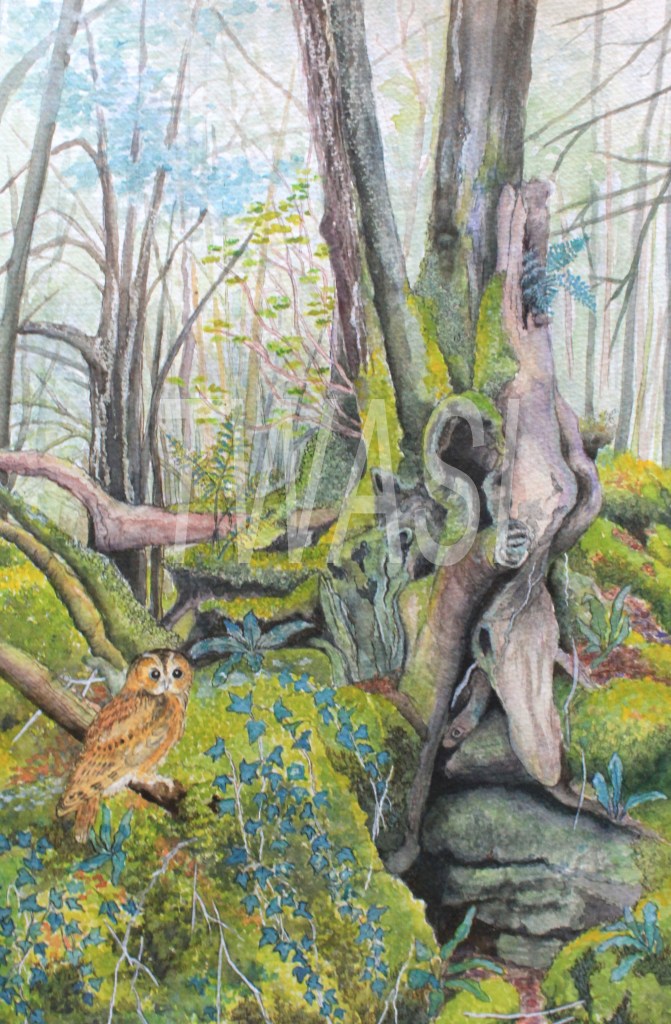 'The Magic Tree' by Victoria Parsons Mixed Media 45 x 58 cms £525