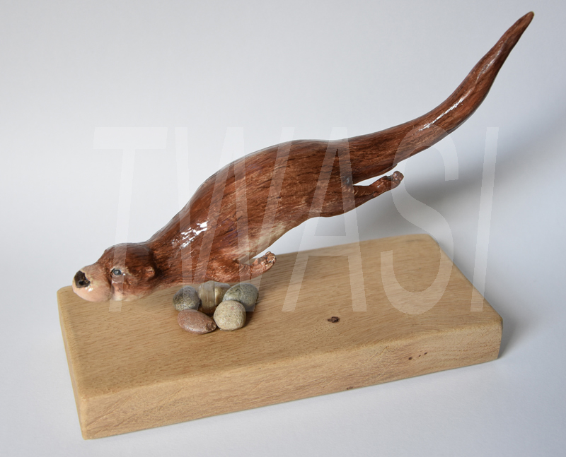 Otter, Neal Griffin, Ceramic, 19 x 8 x 15, £120 - BUY ME – Email: Bateleur Eagle, by Neal Griffin, Oil, 35 x 55, £450 - BUY ME - Email: jane.shackleton0@googlemail.com