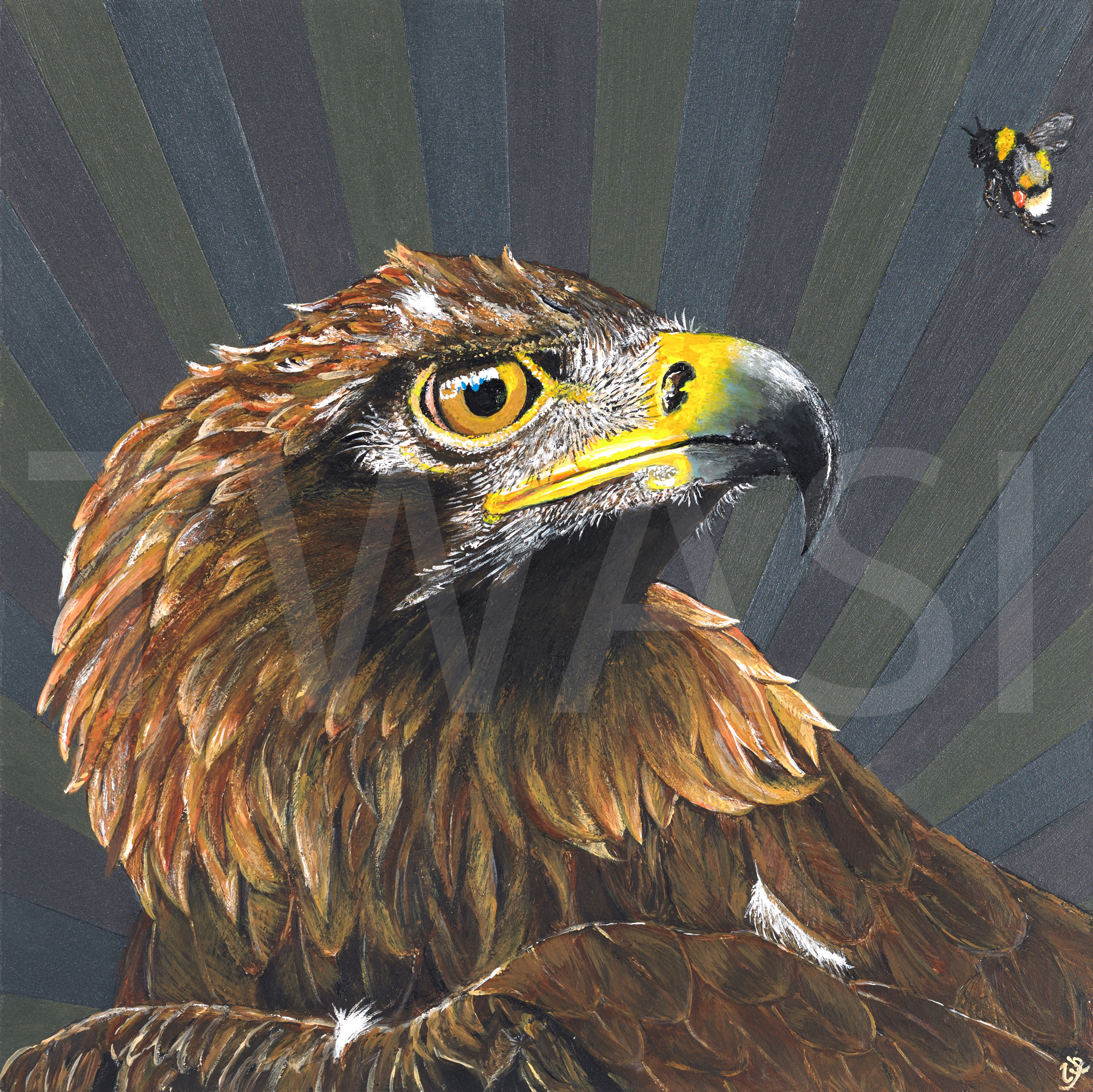 'Golden' by Lucy Fraser