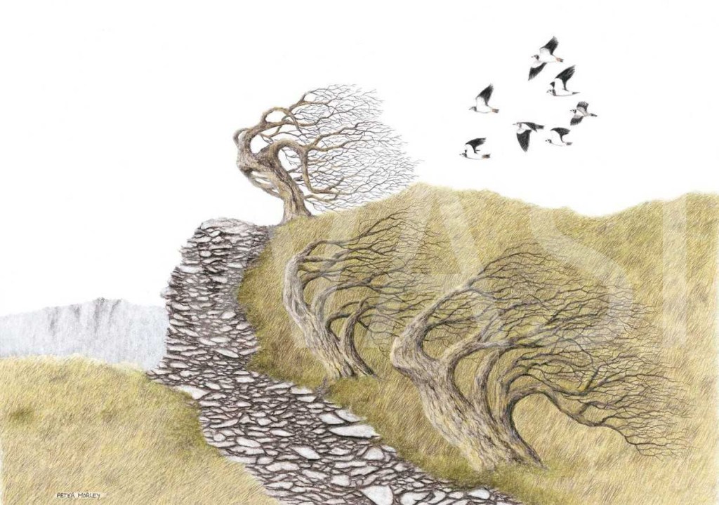 TWASI Award winner - Highly commended - any medium Peter Morley – for all four pieces, 
Going Hard 