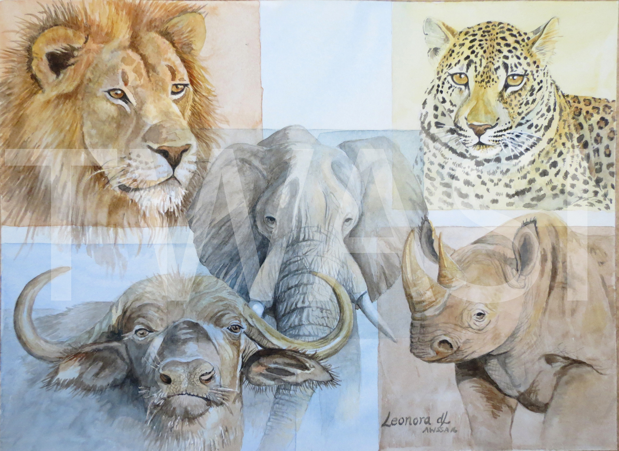 'Big Five' by Leonora De-Lange Watercolour - 30-x-40cm-unframed-£300 BUY ME – Email: jane.shackleton0@googlemail.com