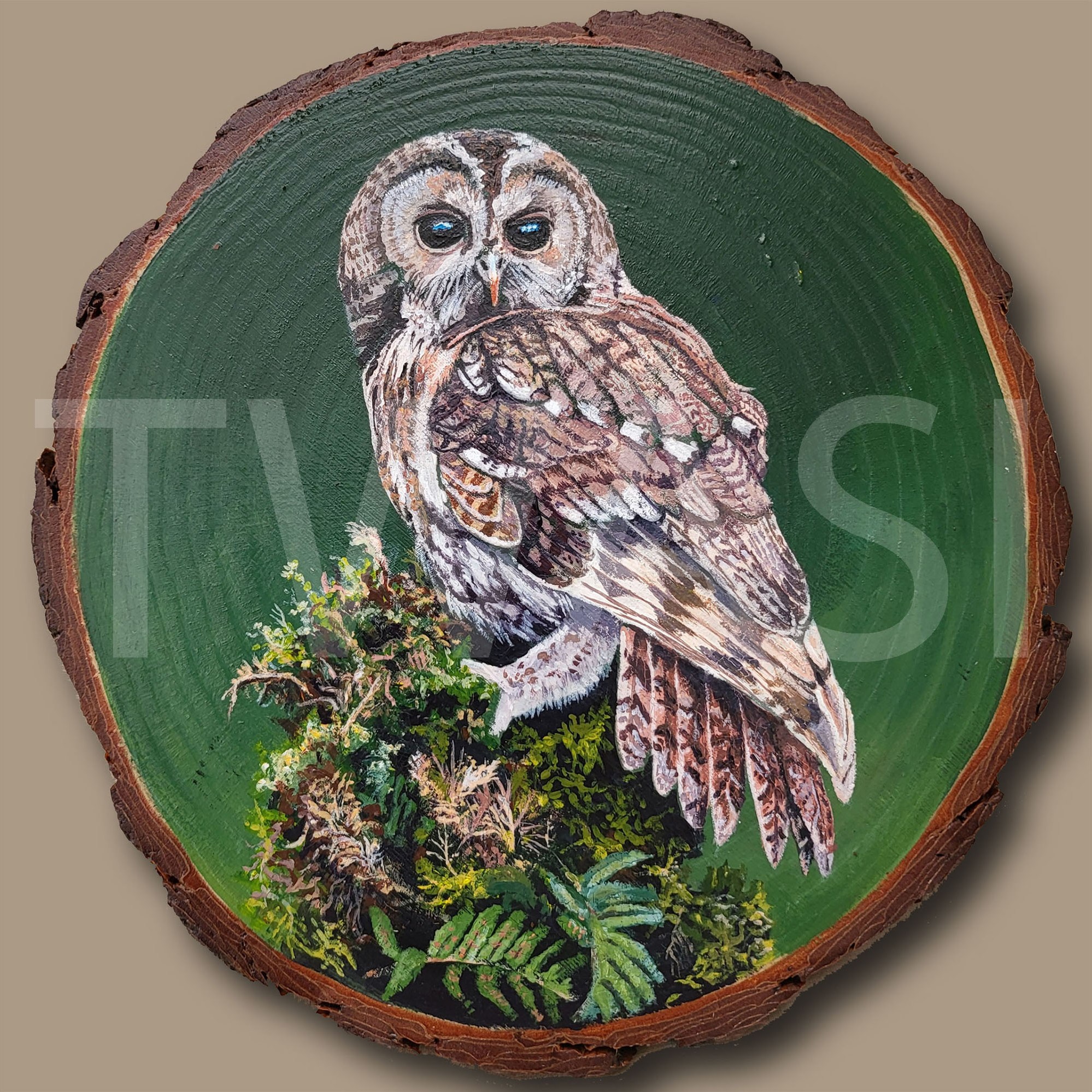 'Tawny Owl' by Kate Smith - Acrylic 20cm £120 - BUY ME – Email: jane.shackleton0@googlemail.com