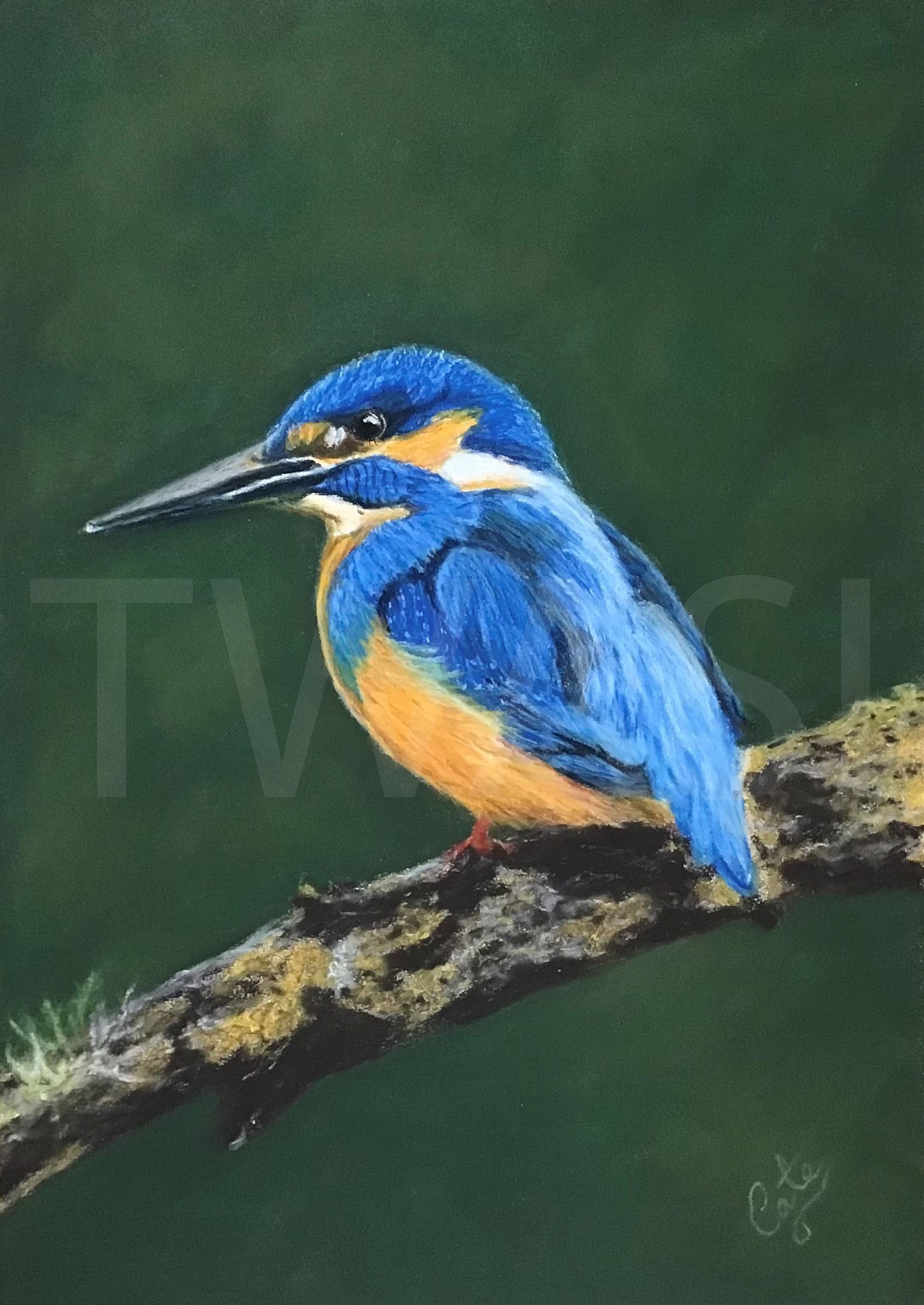 'Kingfisher' by Kutas Cate Email: cate@kutas-uk.com Website www.catekutasartist.com Instagram: https://www.instagram.com/cate_kutas_artist/
