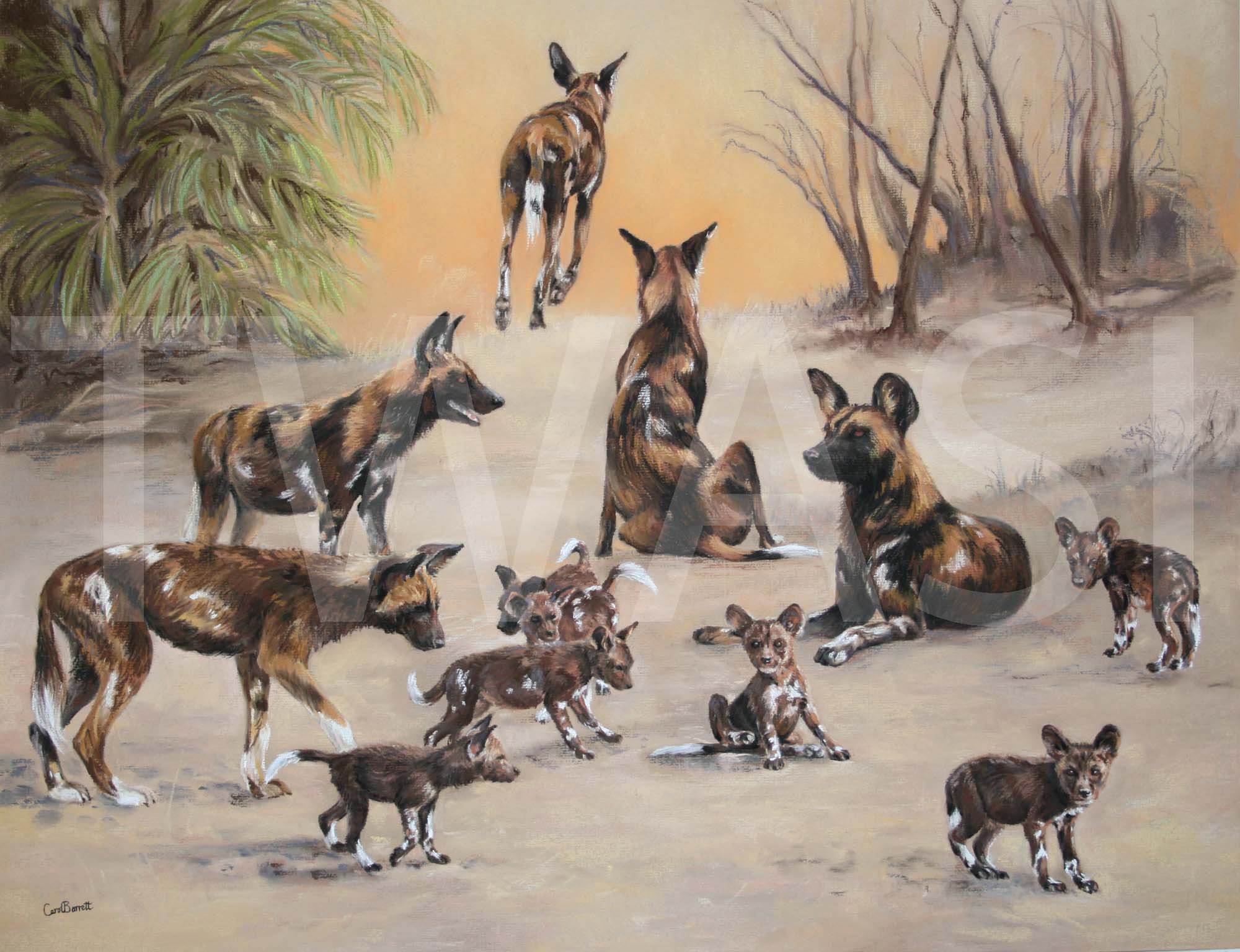 Edge of Survival by Carol Barrett 79 x 66 Unframed - £1,600 Sale donated to Painted Wolf Foundation
