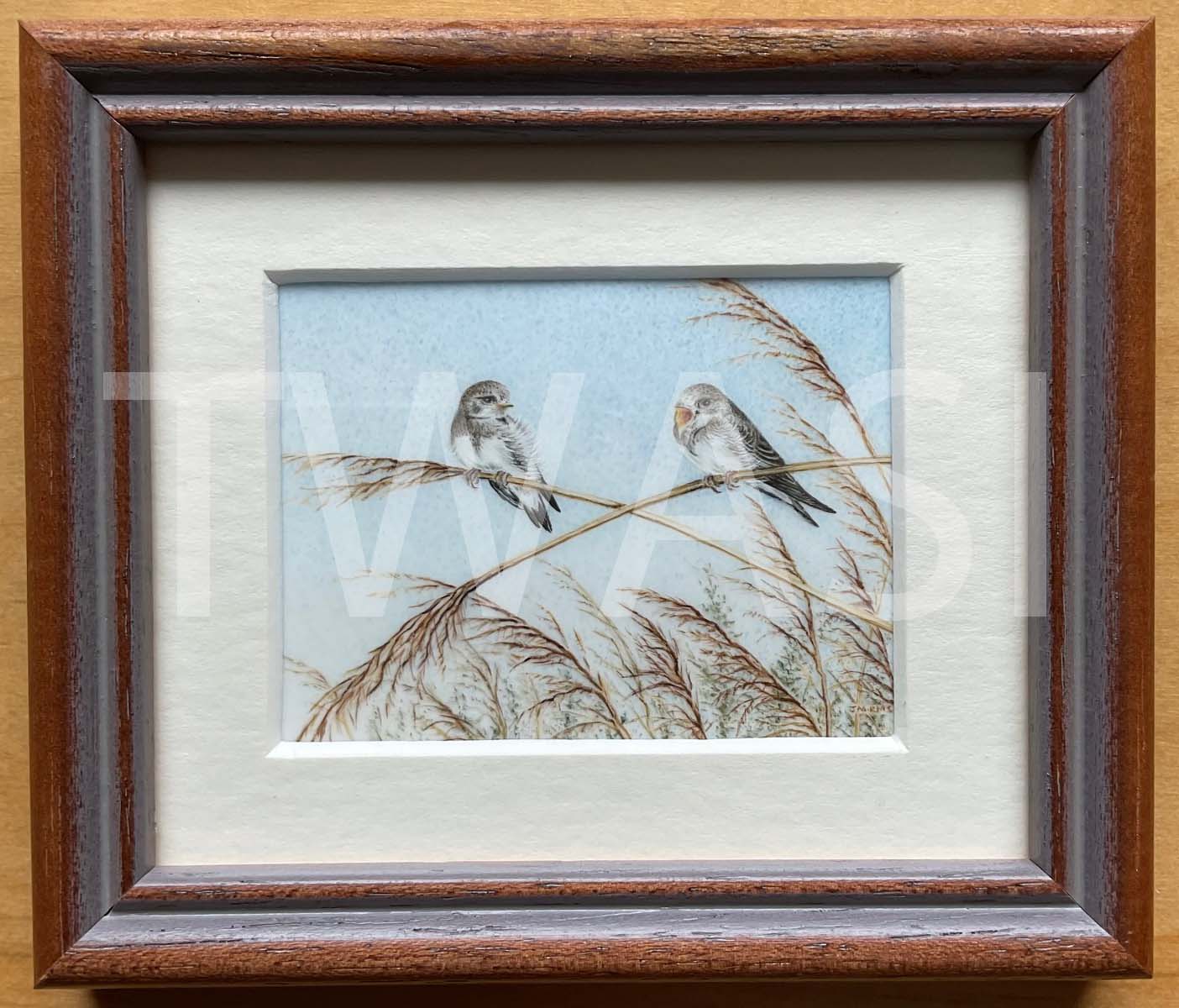 Jenny Musker Always Hungry Watercolour on Polymin Framed 3.5”x 4” miniature £375