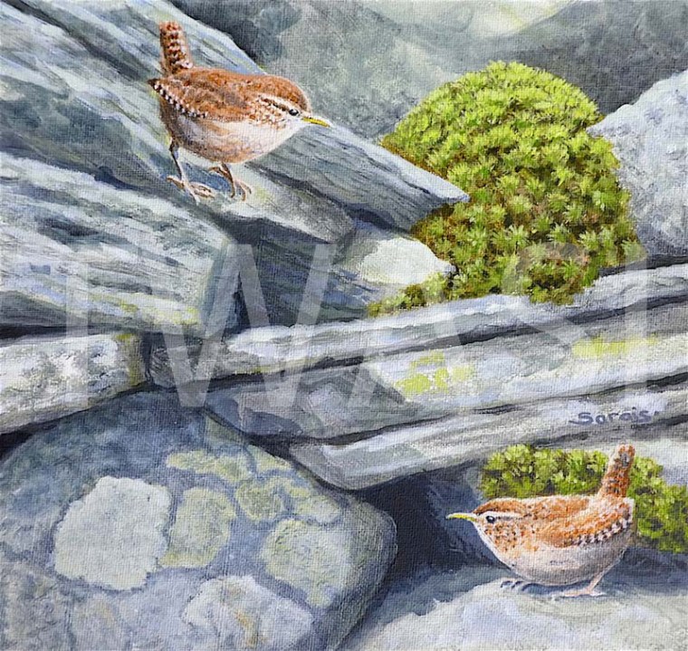 Sarais Crawshaw-Hideaway-Acrylic-27cmx27cm-£250