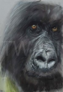 'The Look' by Jo Harmison jhfineartstudio@yahoo.com https://www.jhfineartstudio.co.uk https://www.facebook.com/jhfineartstudio https://www.instagram.com/jhfineartstudio