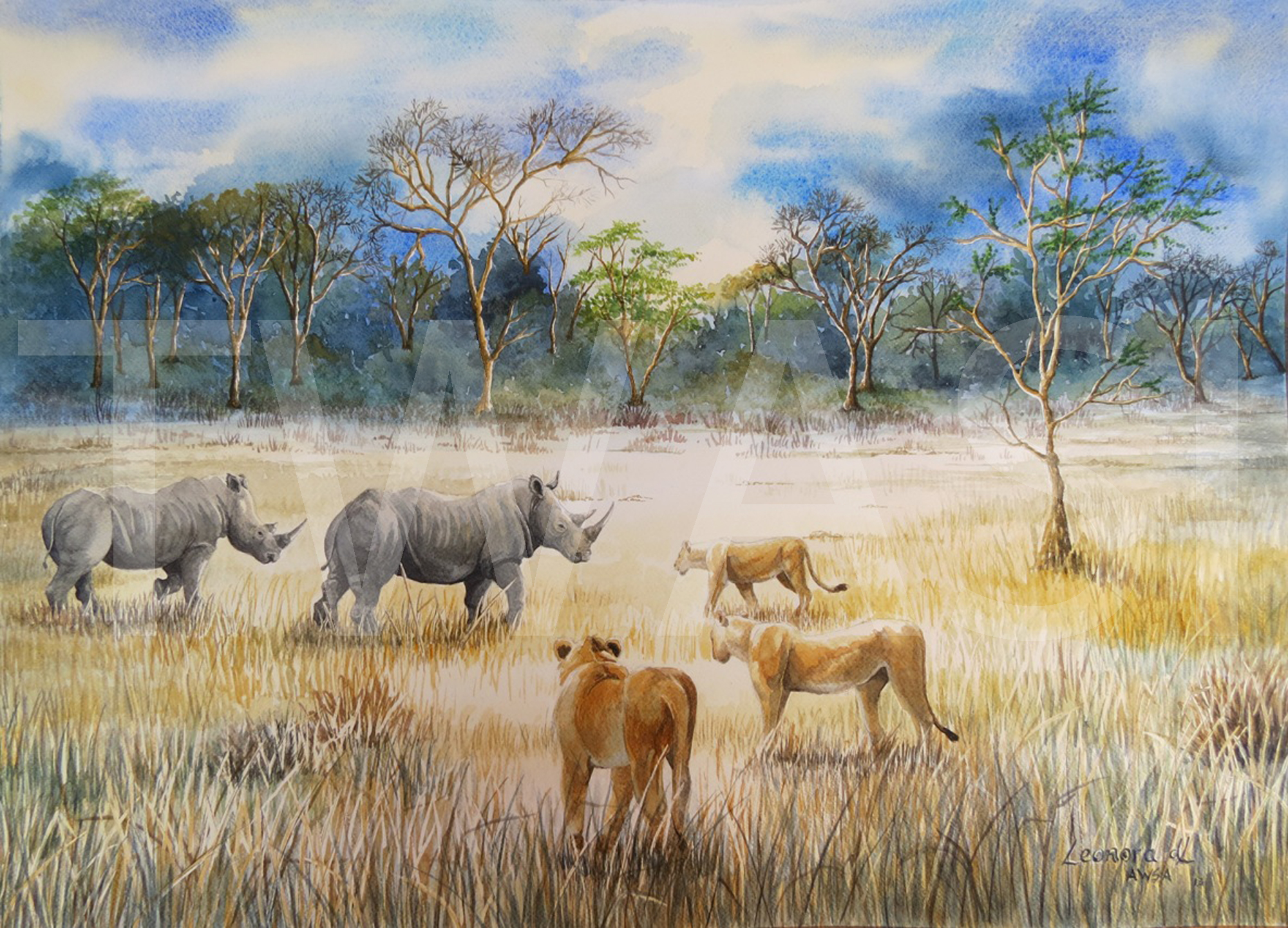 Confrontation on the Plain Leonora de Lange Watercolours 48 x 66 cms £580