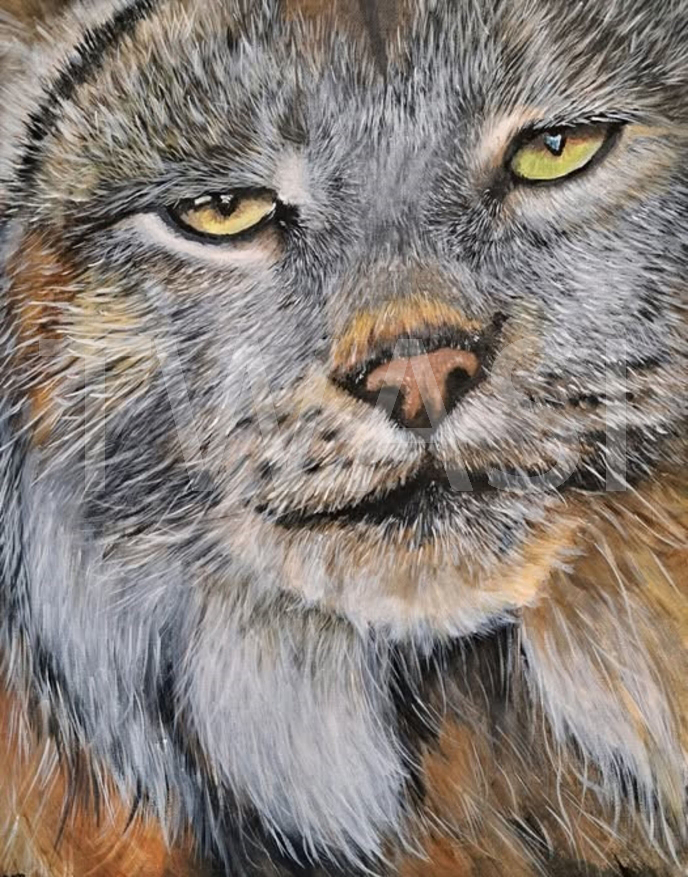 Lynx by Géraldine RagonEmail: gydee72@gmail.com Website: https://painting-wild.webnode.be/ Instagram: gydee_artist
