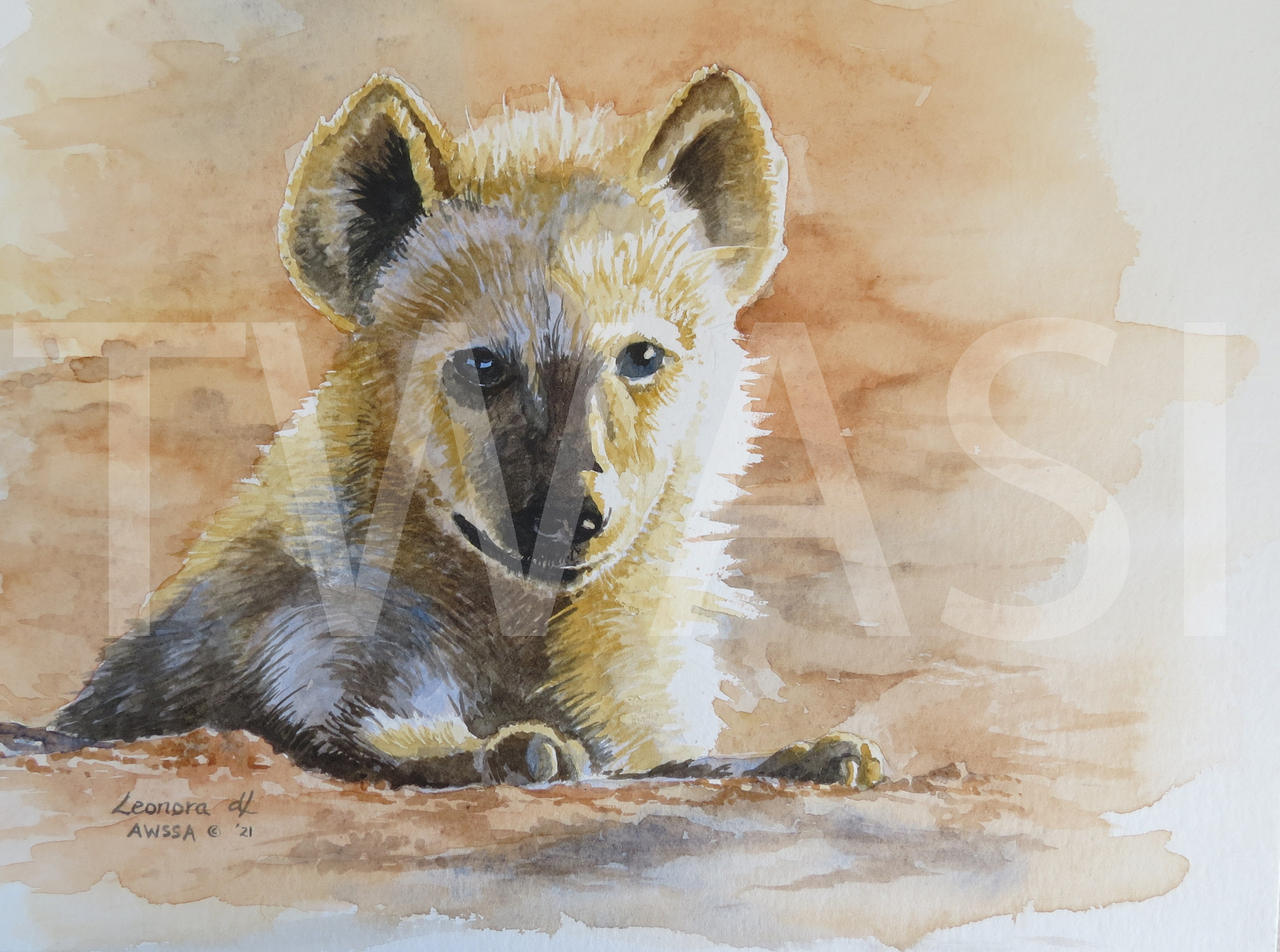 Young Hyena Leonora de Lange Watercolour 30 x 40cm £280