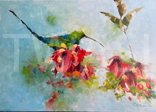 Emerald Sunbird on Coral Tree Oils on Canvas Framed  66x46cm £600 by Gillian Hill